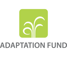 Fondo de Adaptación