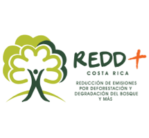REDD+